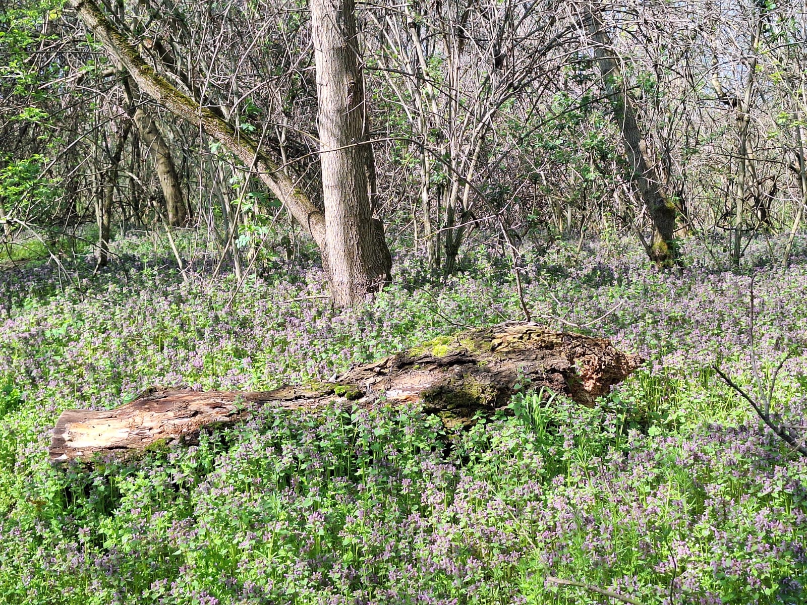 9cd140dc-f4ba-434e-ae57-3b3cae95fa70