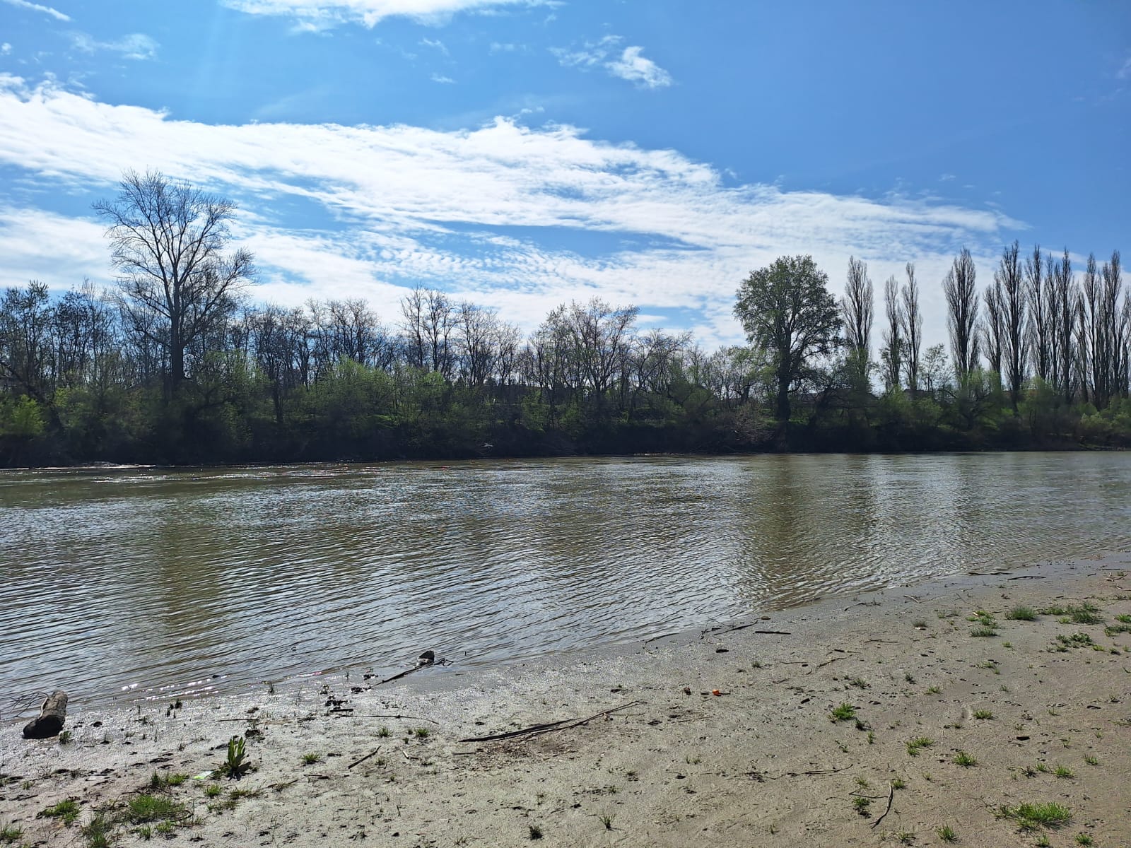 9d47237d-7875-45cb-b9d6-0ccb7c0bba99