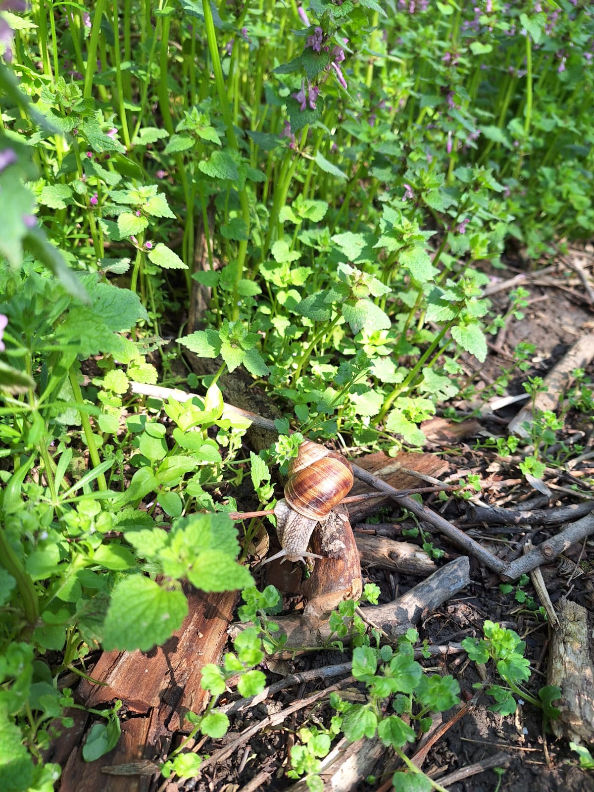 17a8cafa-1bbb-486a-b3d7-6cd0d9bb1260