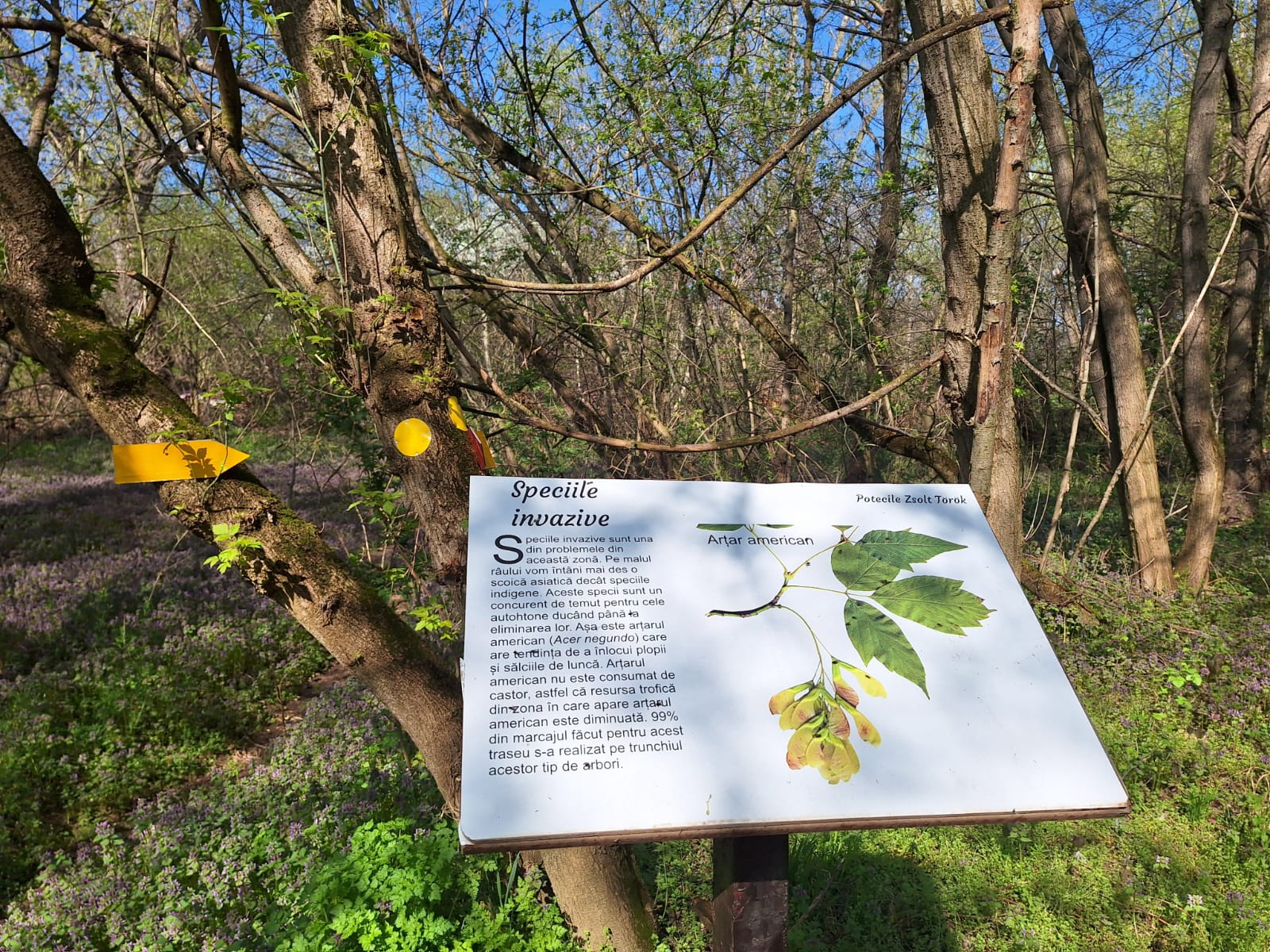 23c3bbdc-18be-460a-8f0e-8ff68be4fd5b