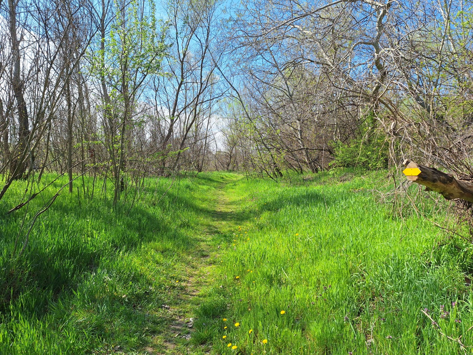 31b7468c-2009-4d5e-94fd-337b14d4ce0b