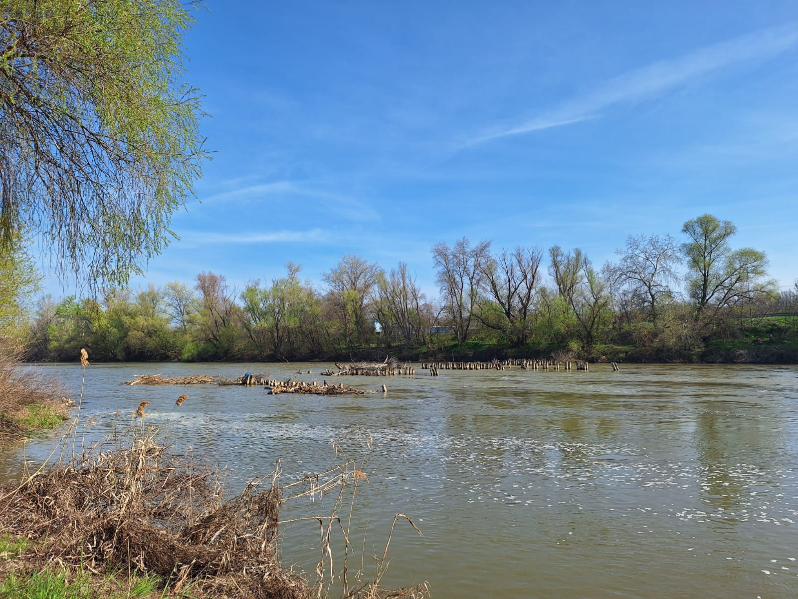 31ca0794-f123-40dc-bd67-e7c45b7f20e9