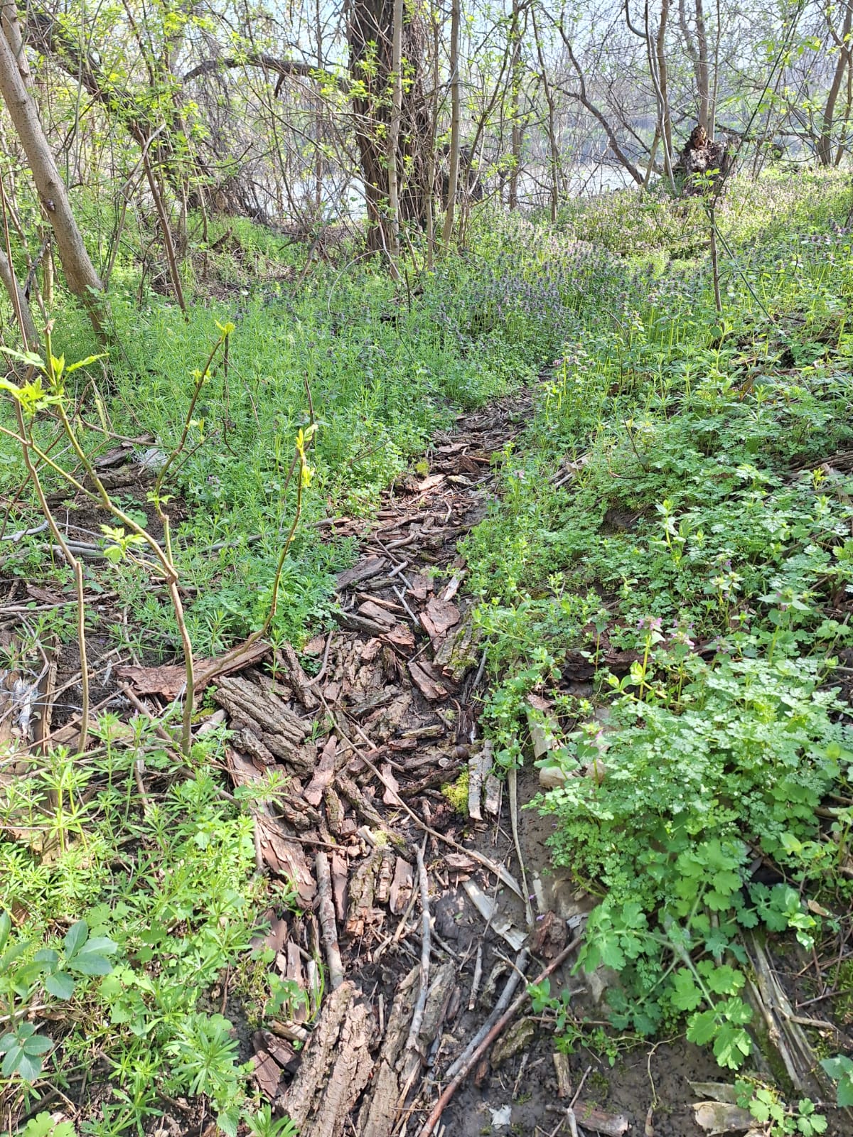 33a3cf4f-0c6d-41b1-99ba-c29328af4446 (1)