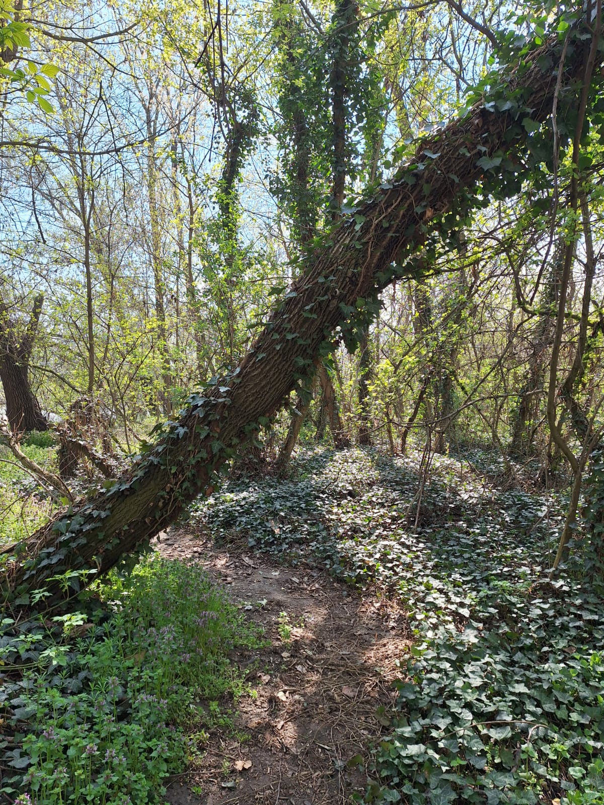 40c96088-2742-4a09-89bb-6727c8a2a033