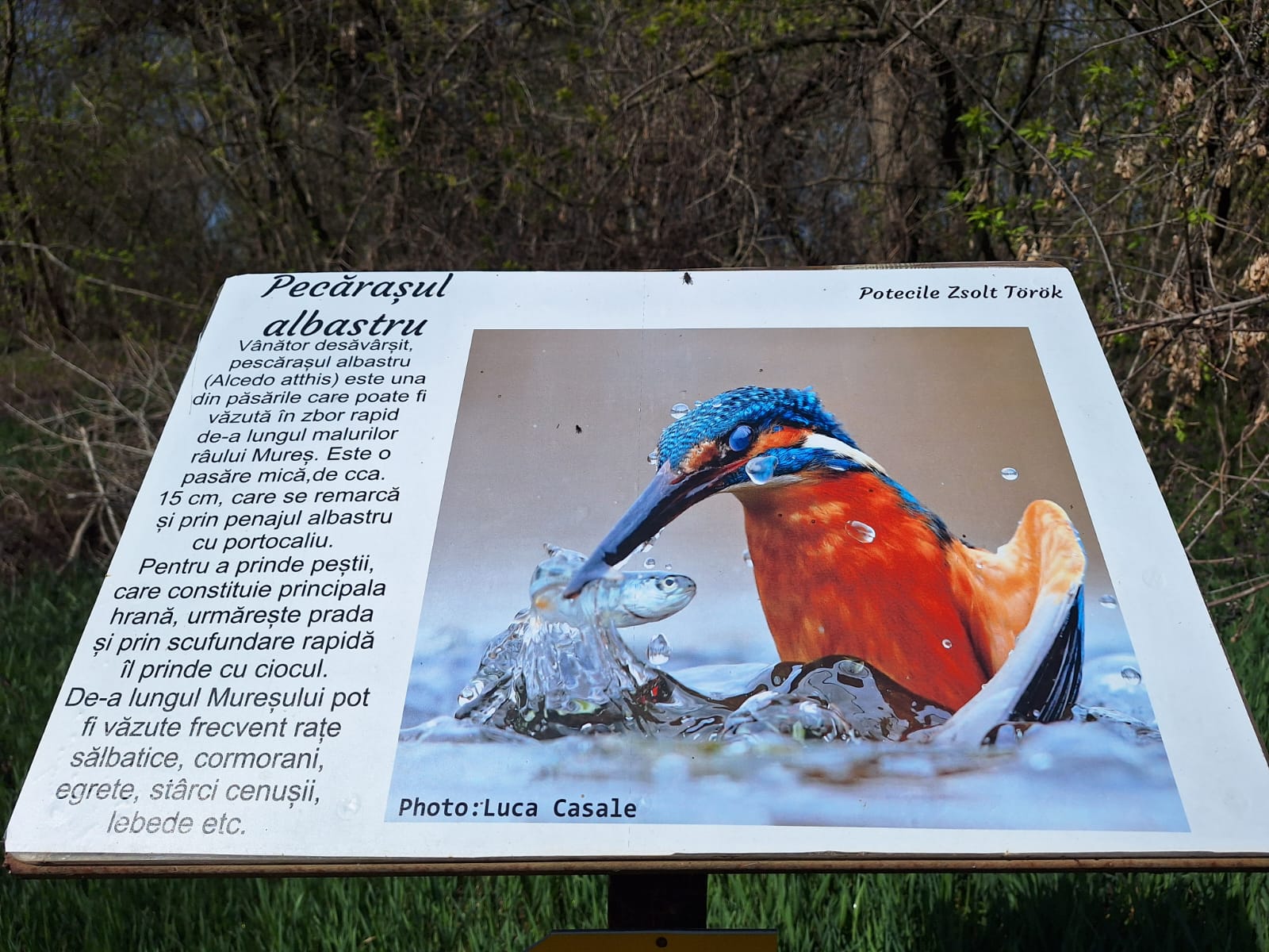 43e23cb4-bdd8-46d9-baf0-d70c9952490c