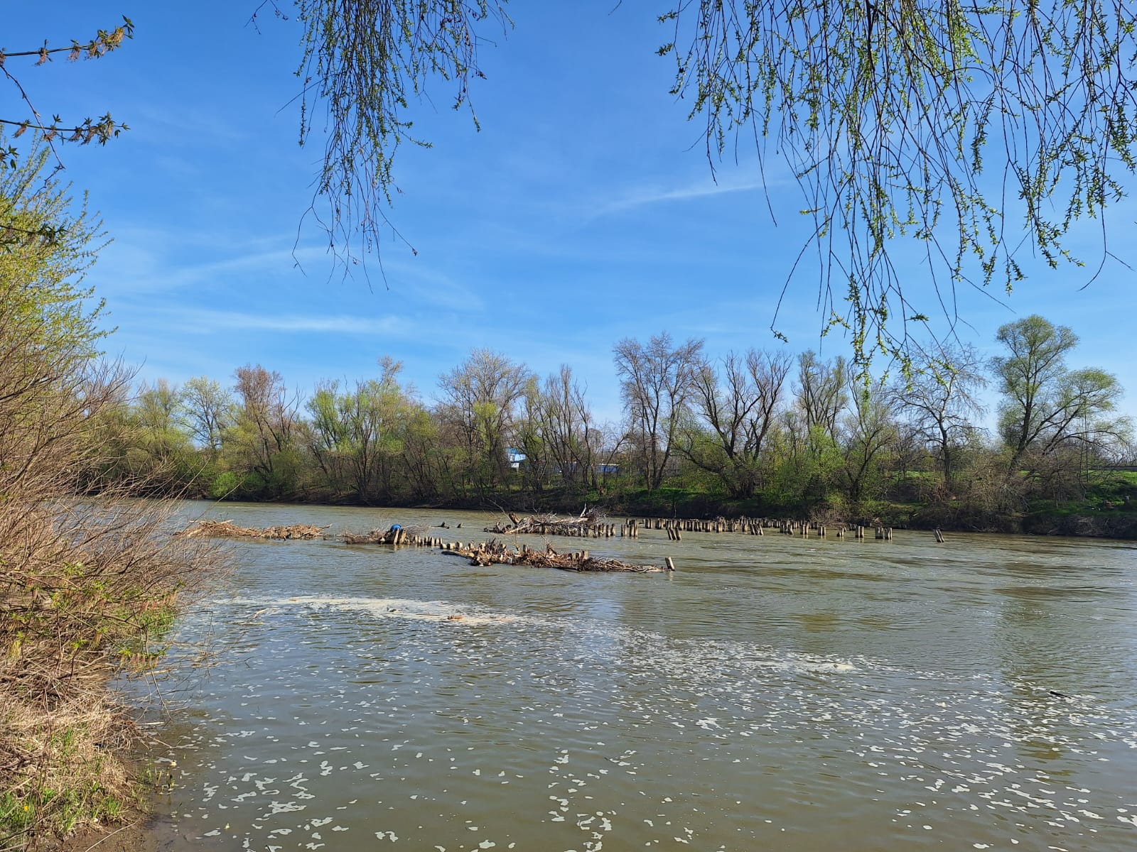 47e29880-fdbf-4a6e-bbc6-7639f77f815f