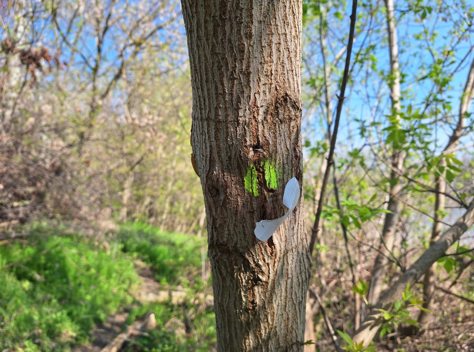 61ceb547-f890-41e7-8234-78778bc13cc7