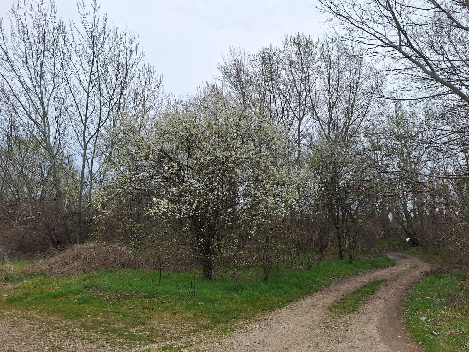 62b0febf-7fab-47a9-b3f4-698cca7af7b8