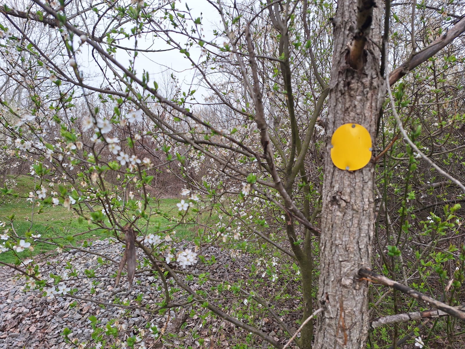 086aed37-ad9a-4e37-b8db-a5d3c6b58b08