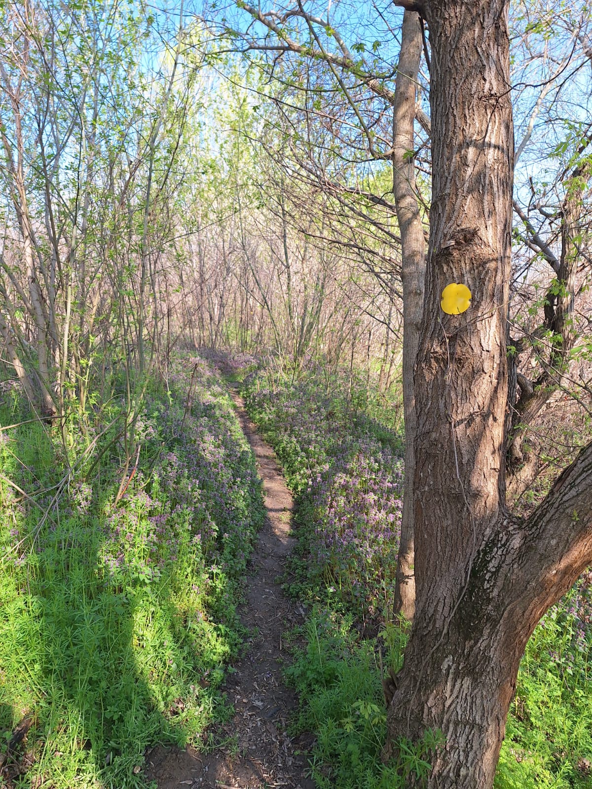 270f7b55-1f49-4828-a3e3-0f758c29390d