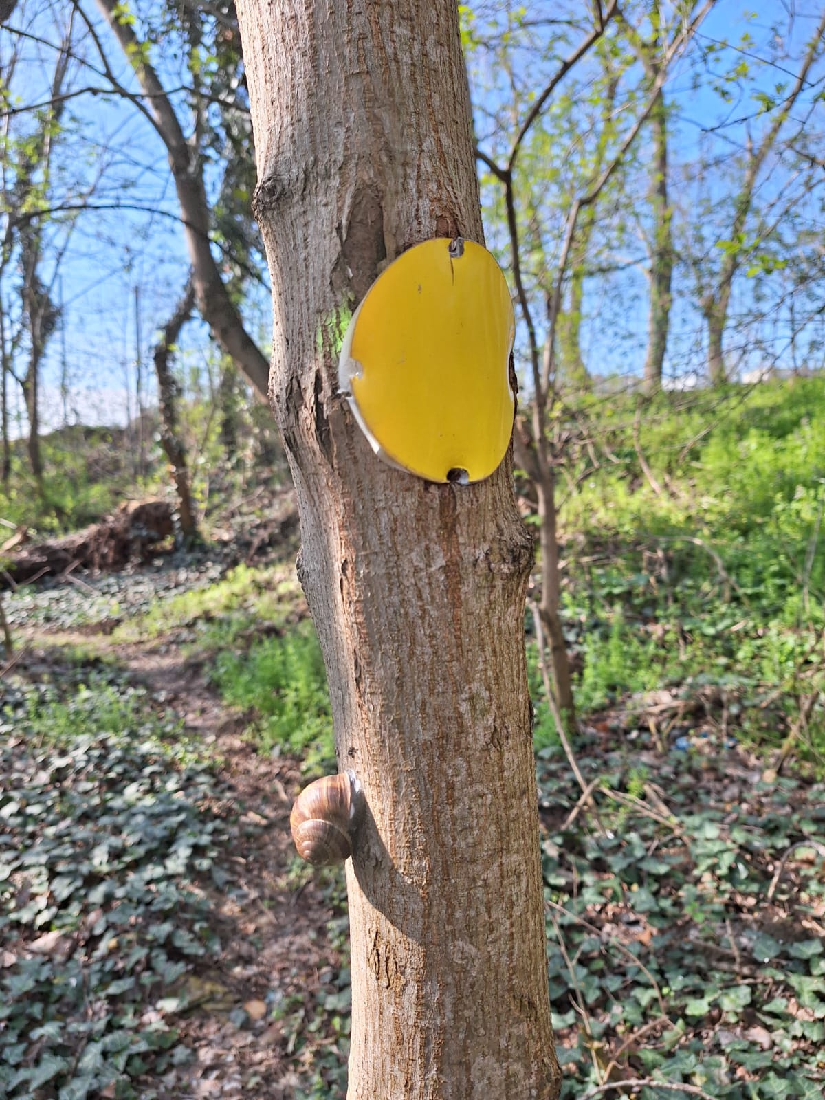 305c9013-7ea6-4a38-9f67-a93a143fcf3b