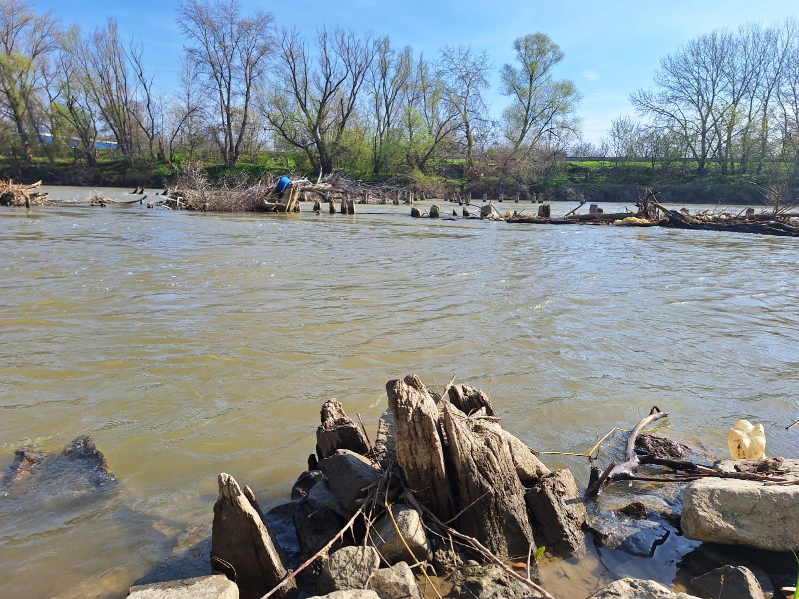 317c9baf-24b4-4a79-a3ac-d64d71283565