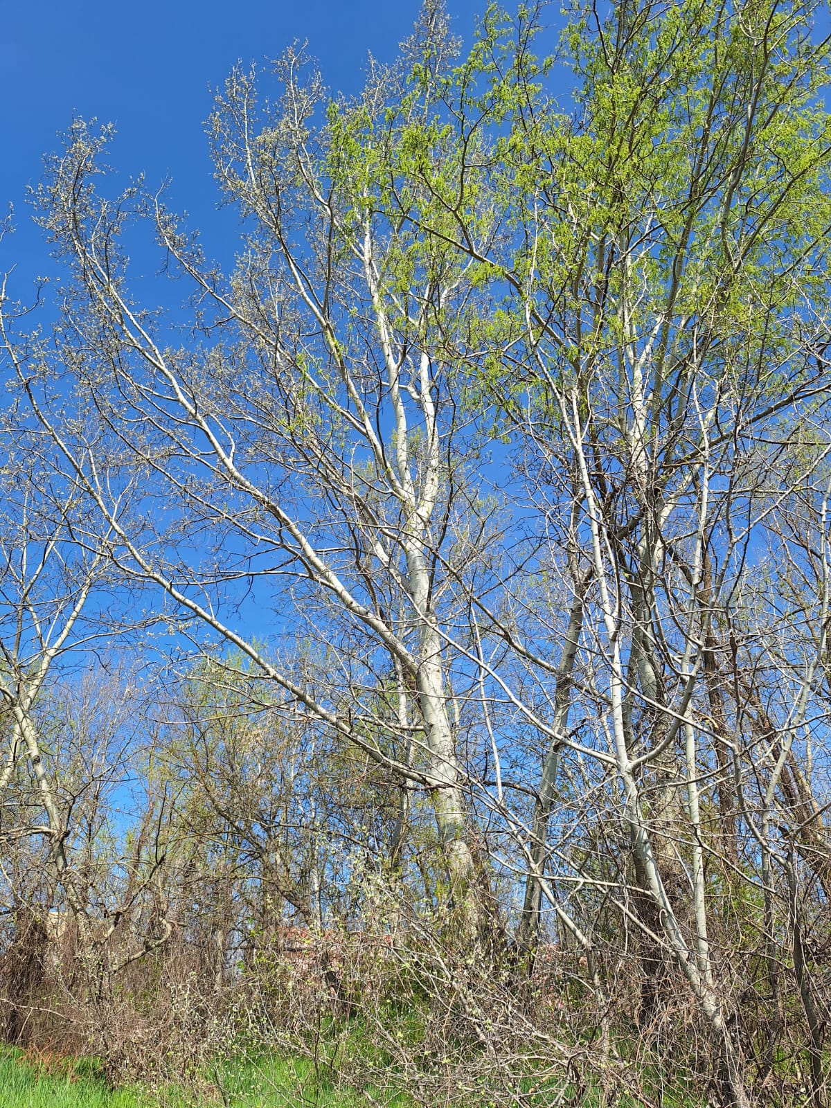 604c0a72-cfbf-4209-b00f-d64e91ba5e96