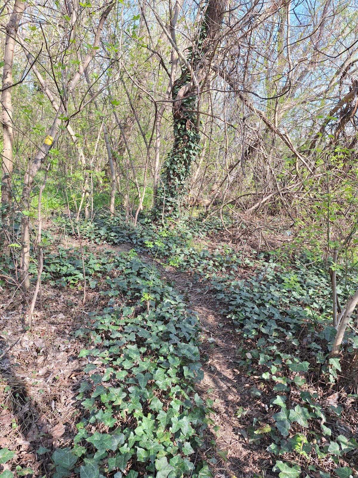 885e4a29-e63a-4831-ae87-fab2c463b383