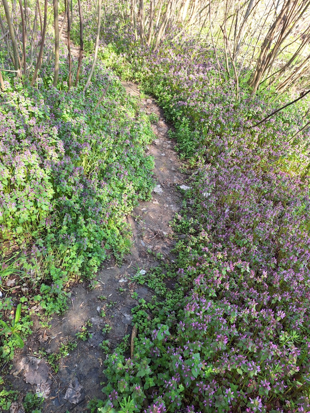 3671b6c3-044d-48d9-bb1f-cb2ea6cfd146