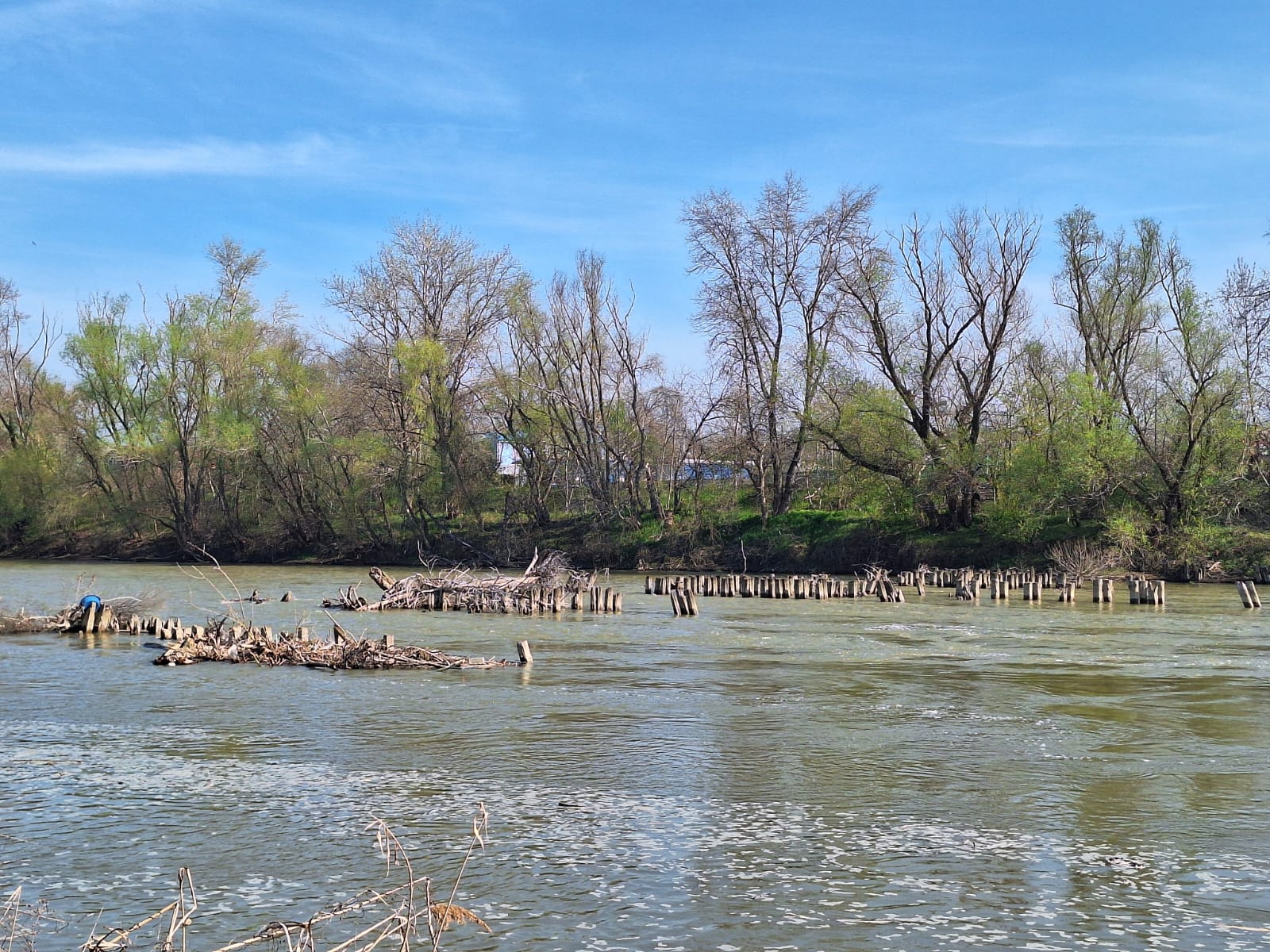 5443d586-3a0d-4f17-8db7-f03093754ada