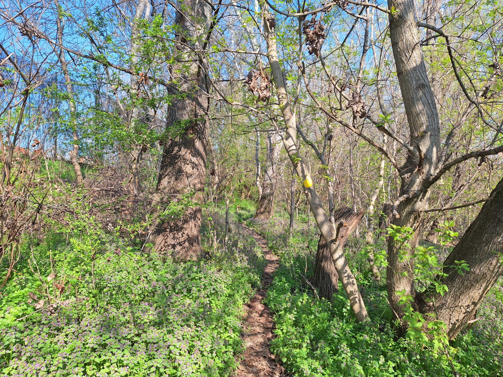 49809b0f-95a6-4502-9ce7-c5b9e05aef9d