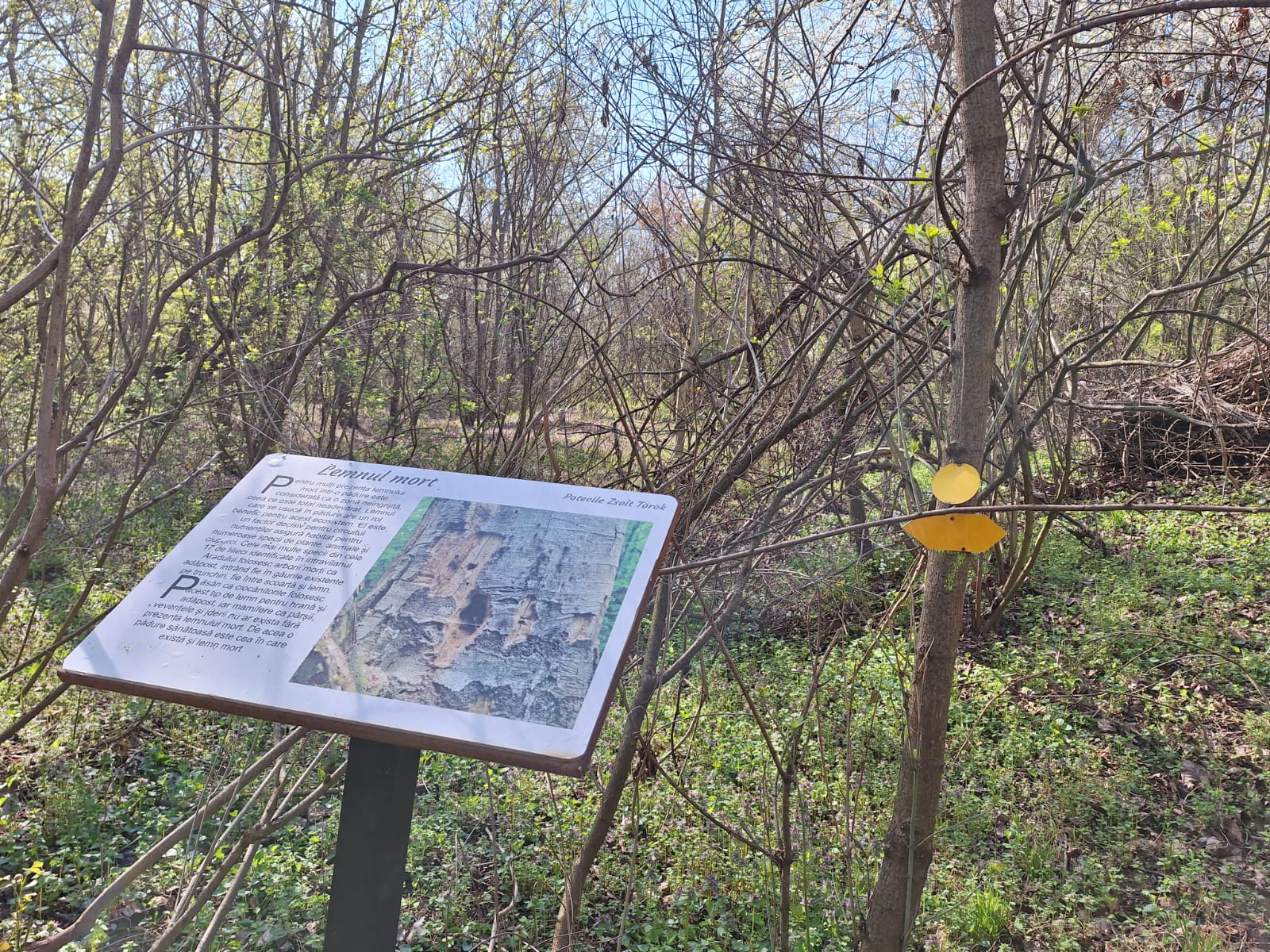 9936d24c-e0c4-4fa8-b385-9c86c97b825c