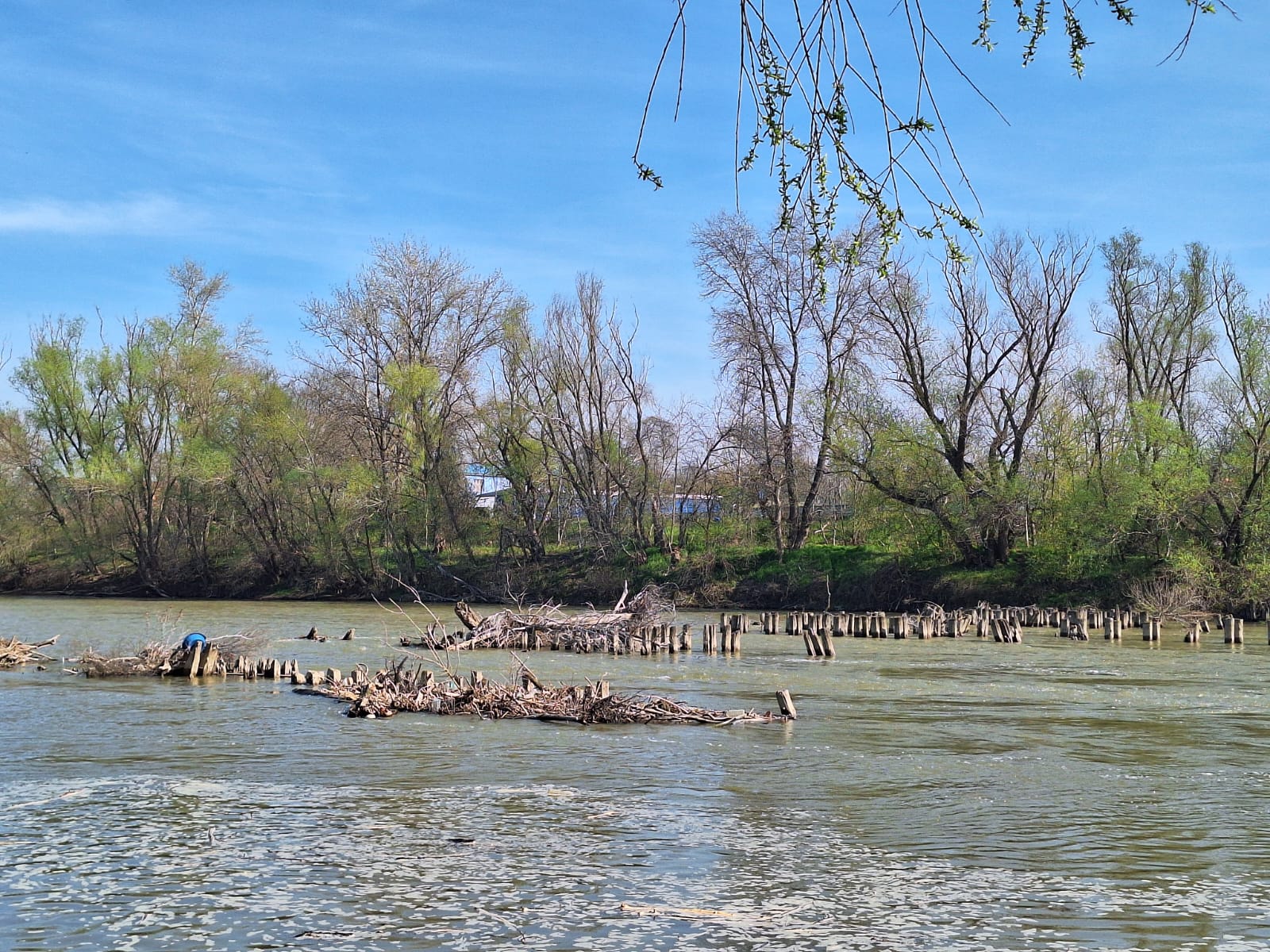 053395c7-a8aa-42aa-be7e-bf288d156288 (1)