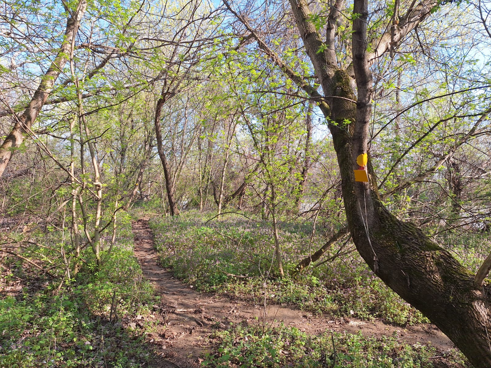 098020da-c2c4-4d96-8dec-0a845246af34