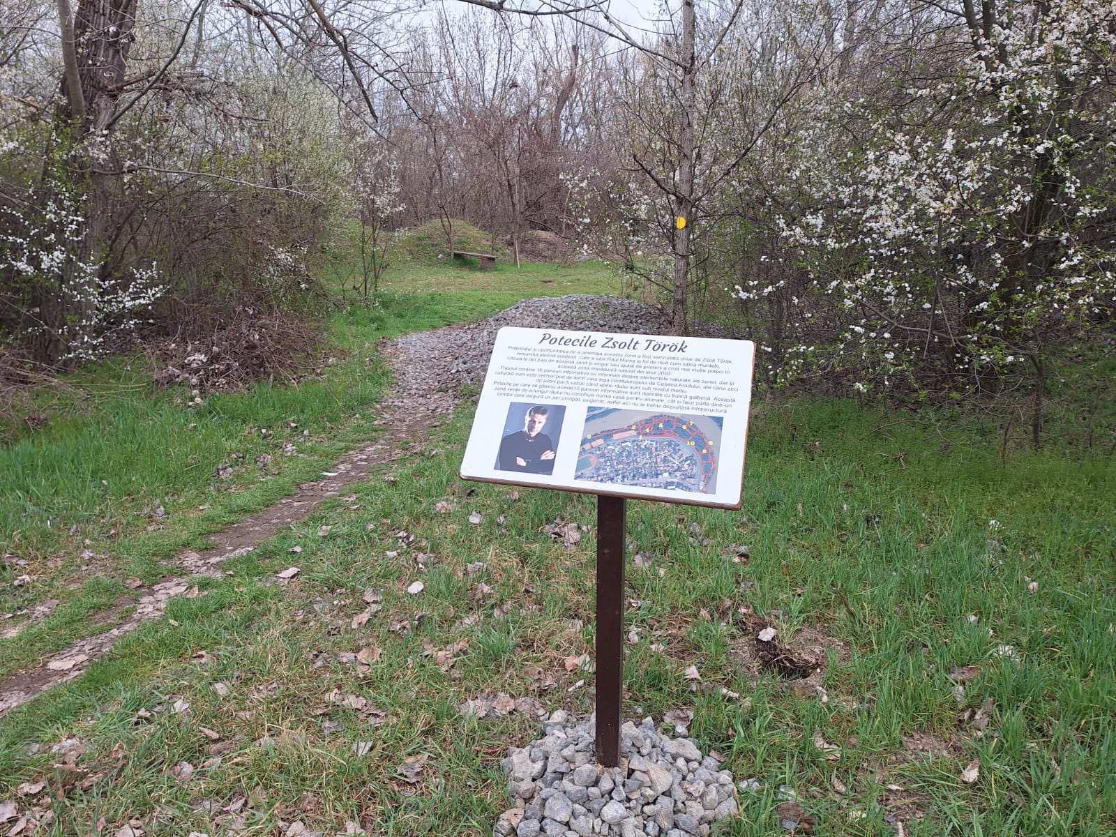 55354af8-0710-4485-ad78-cabba14782de