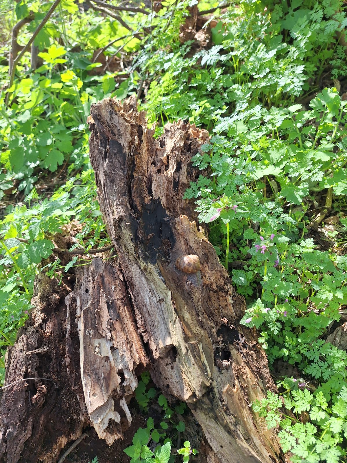 371531bb-70cf-4f57-8fc9-e5670ee56b62