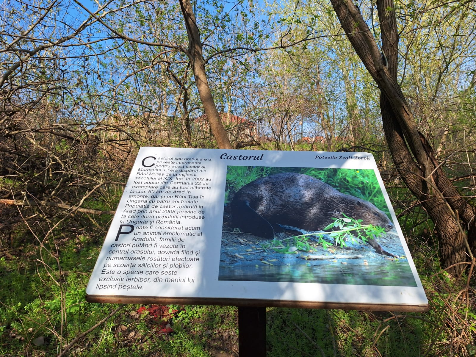 869913ee-eb04-420a-9ffd-f6a80dab4052