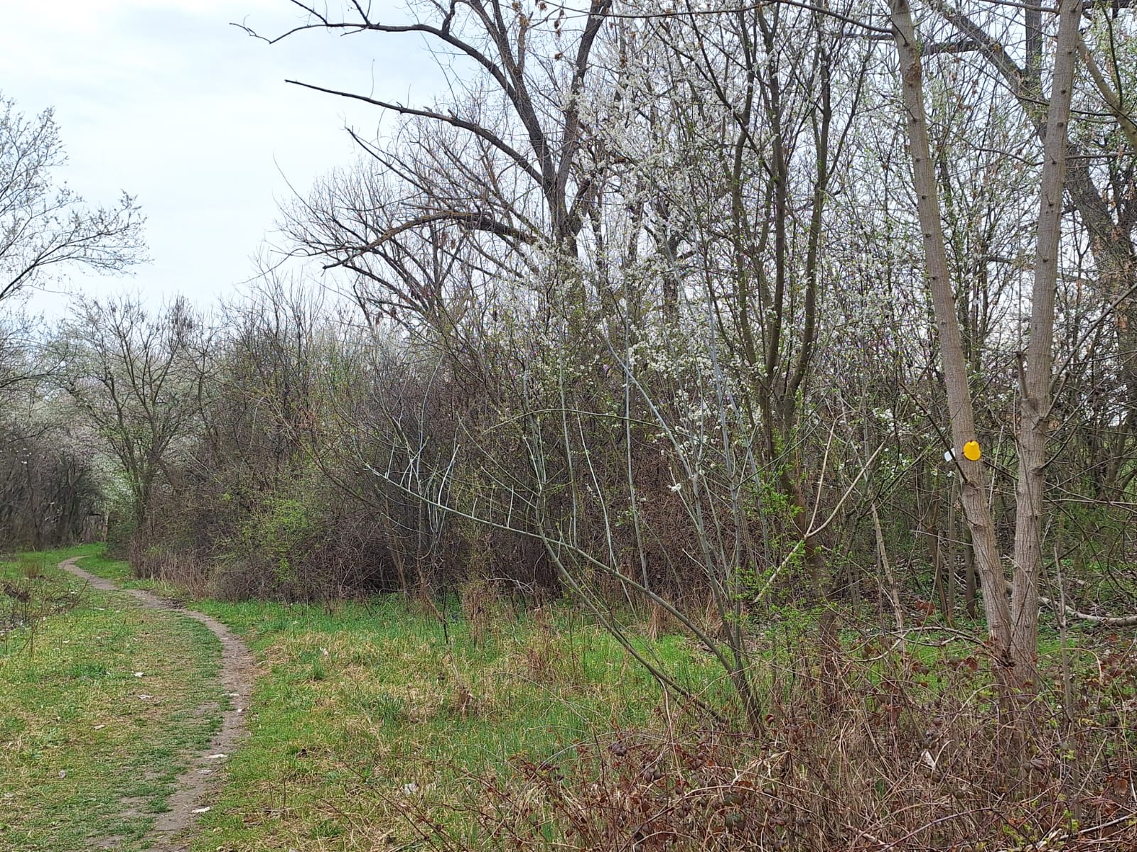 07948619-3dd1-42c0-aec2-c47d0aa9e6e9