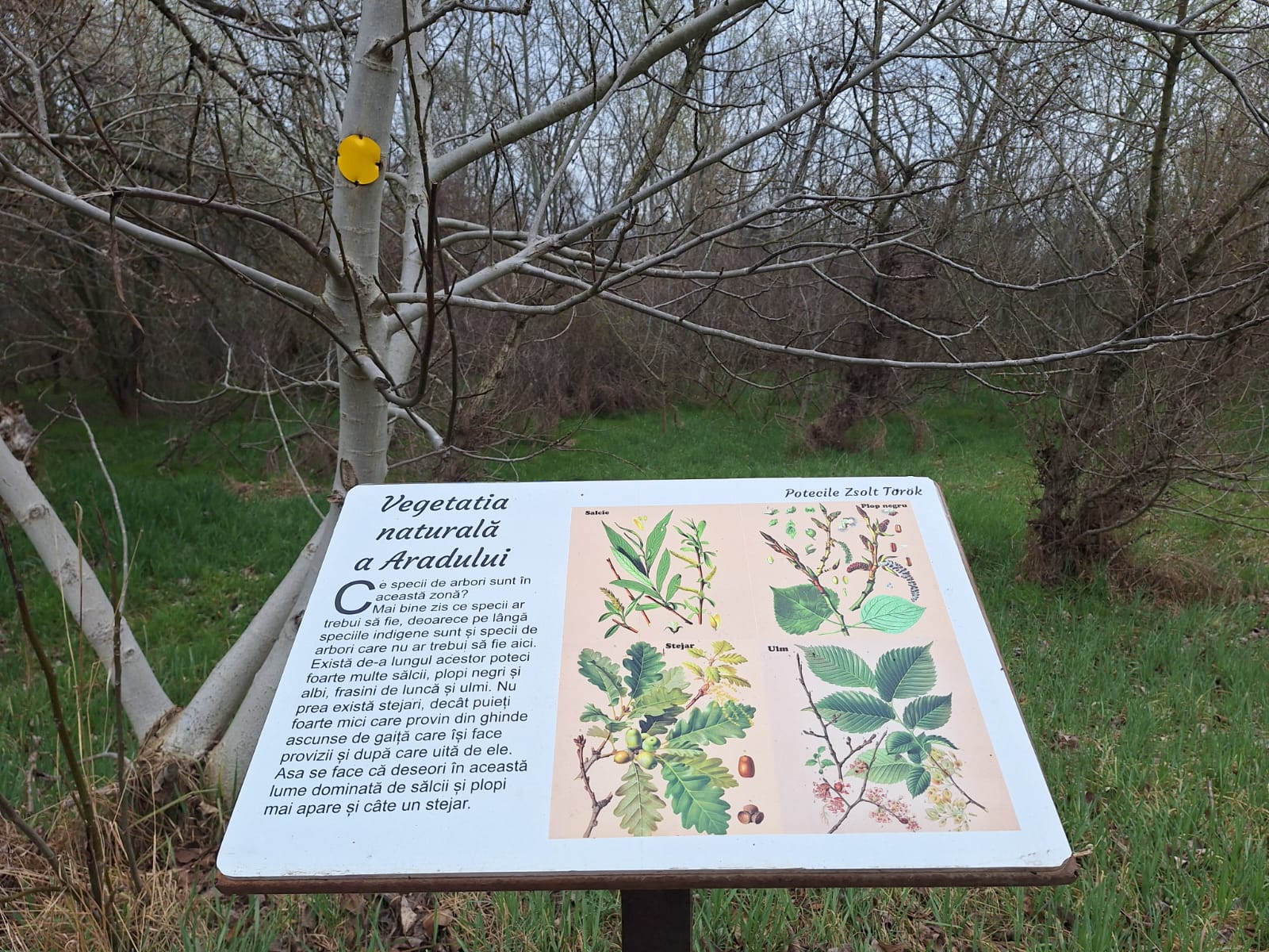 30663486-3296-4bc8-8b29-4c86a6dcc34f