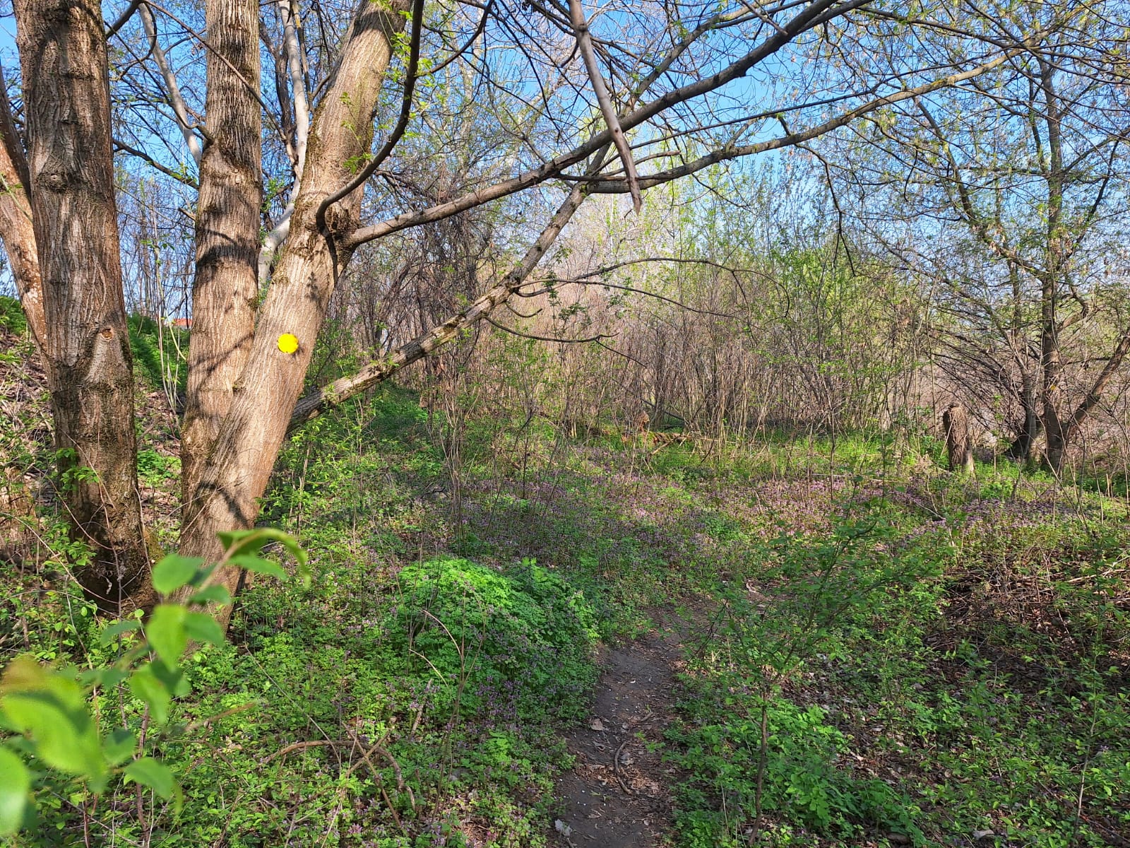 44247407-dc63-48df-802e-bfdb31f3bd85