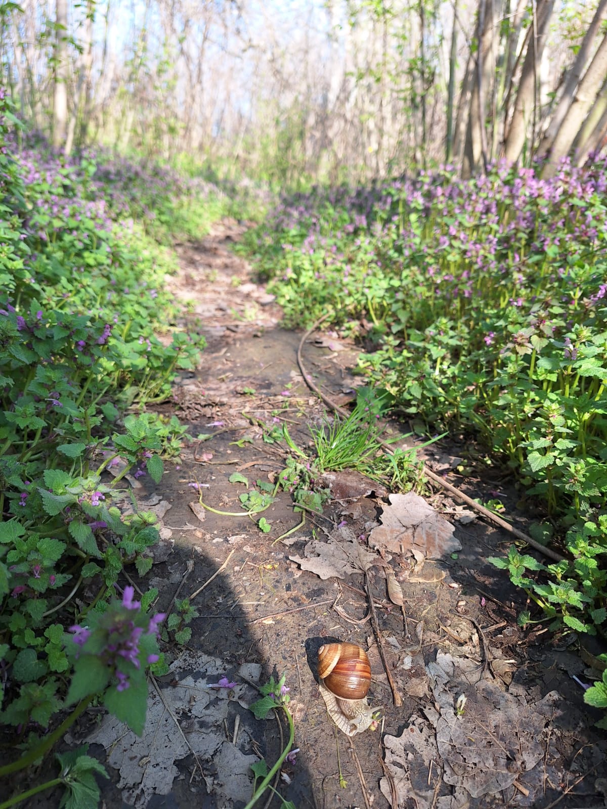 a5b5150d-798f-471e-8aae-f881f0feeaf5