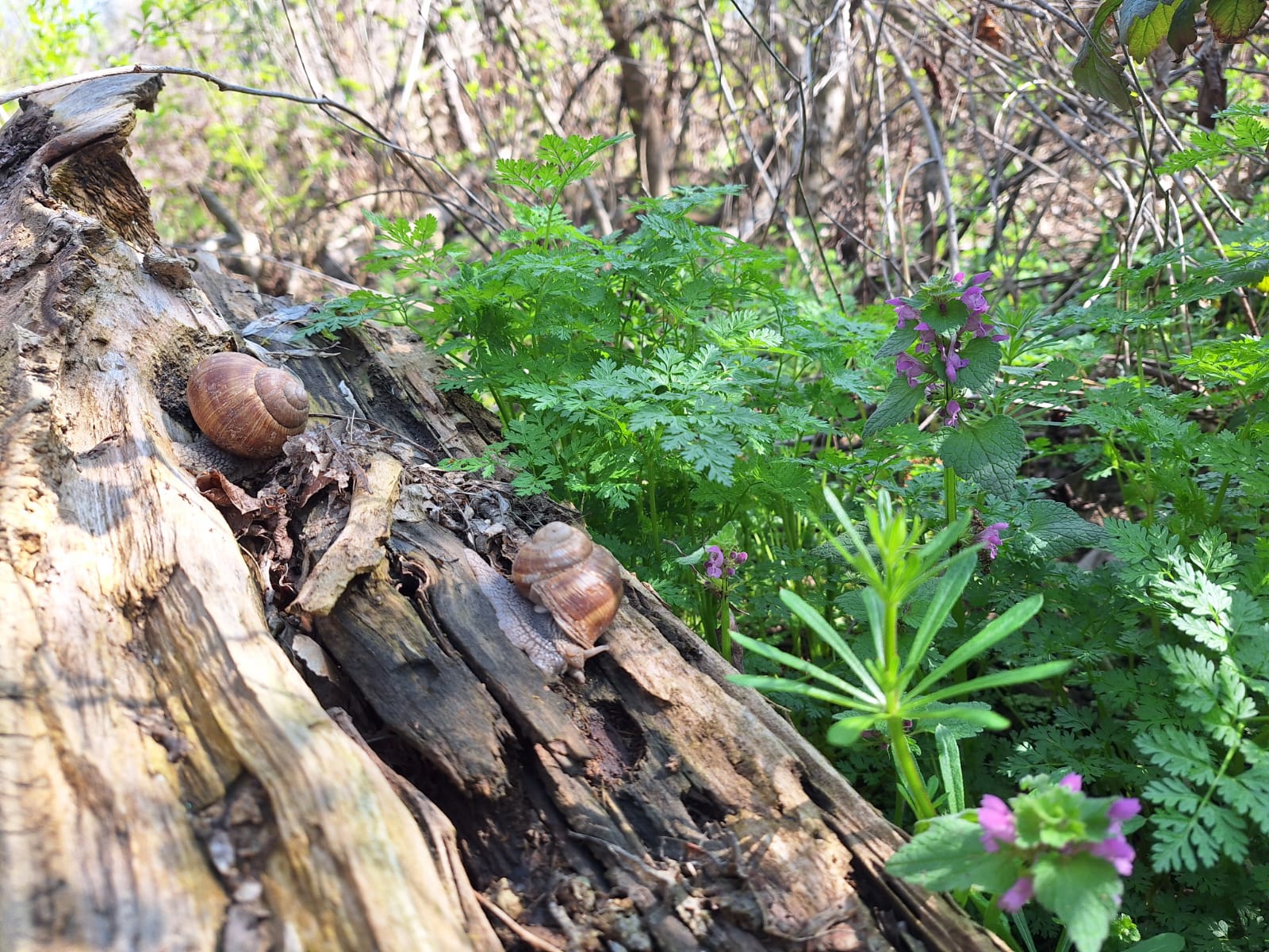 a7e3e551-7931-4c6a-a104-68674d2dd381