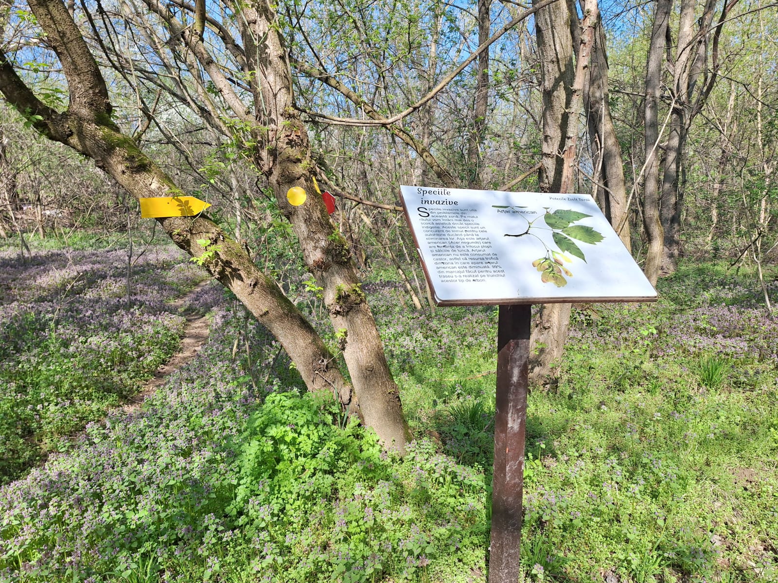 a34ebecb-246f-4d5a-aae2-f8712c0d224d