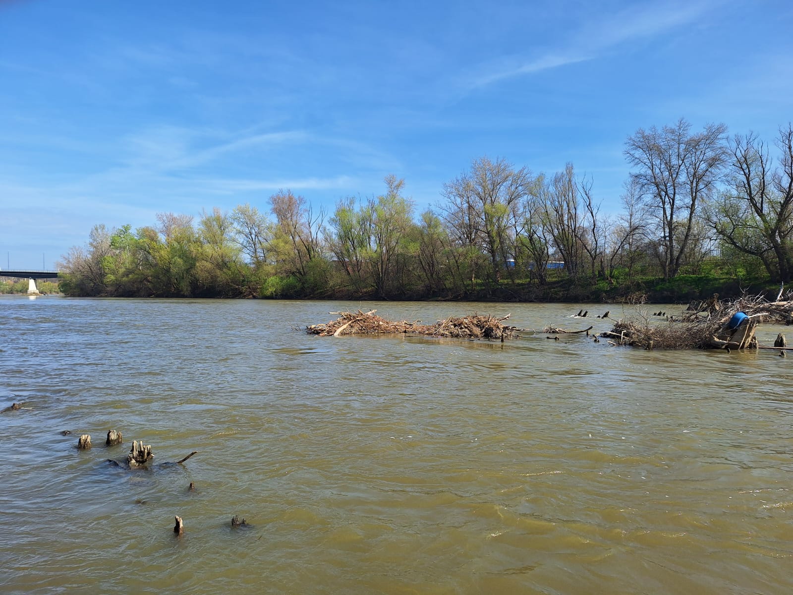 acefc660-b918-46d8-8fa6-b8420531429a