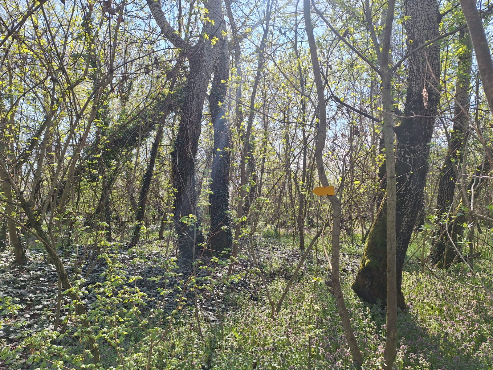 afc6b2a9-1c47-4d93-8543-1e53ce45087d