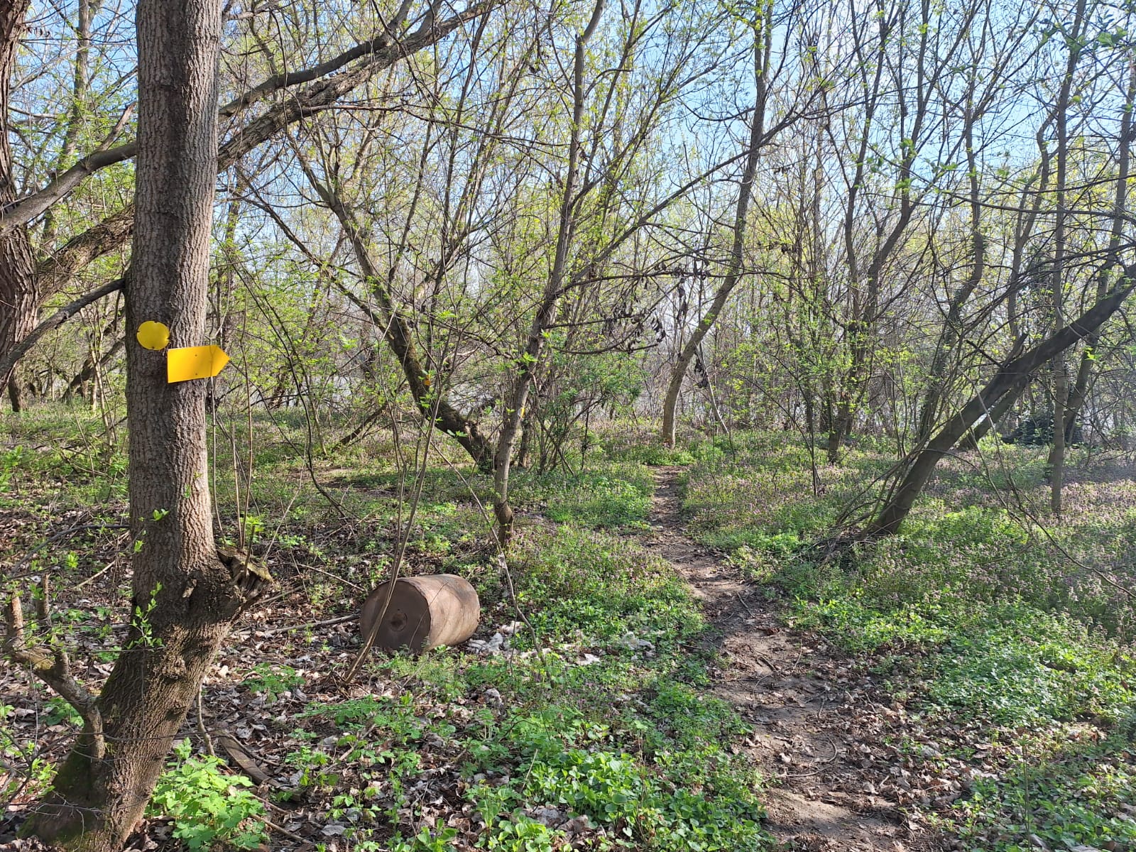 b3772112-5e20-46f1-a9e2-b087e97c27e4