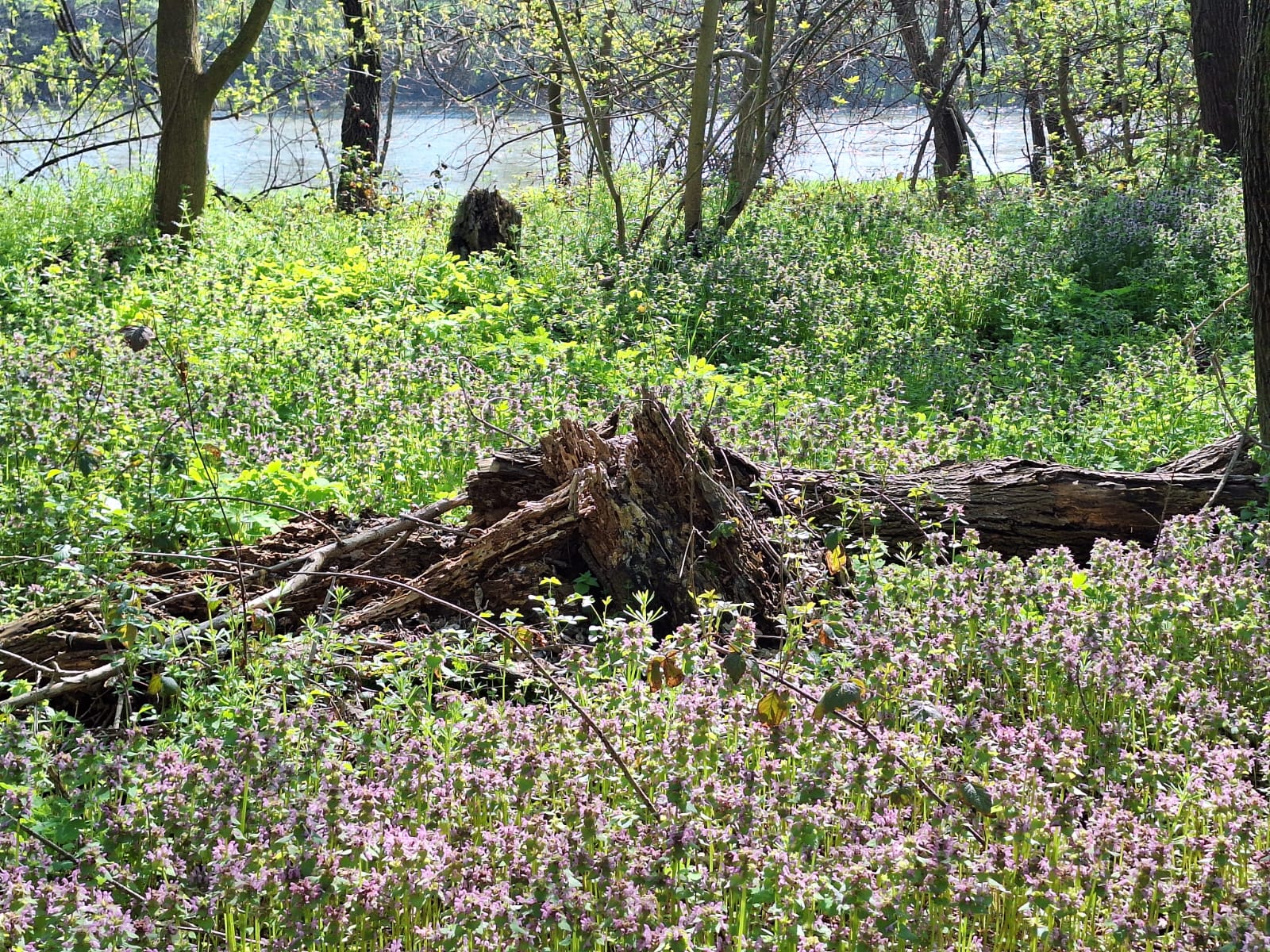 c46ae97b-8ebb-49f0-8b5b-6df383e7bbdc