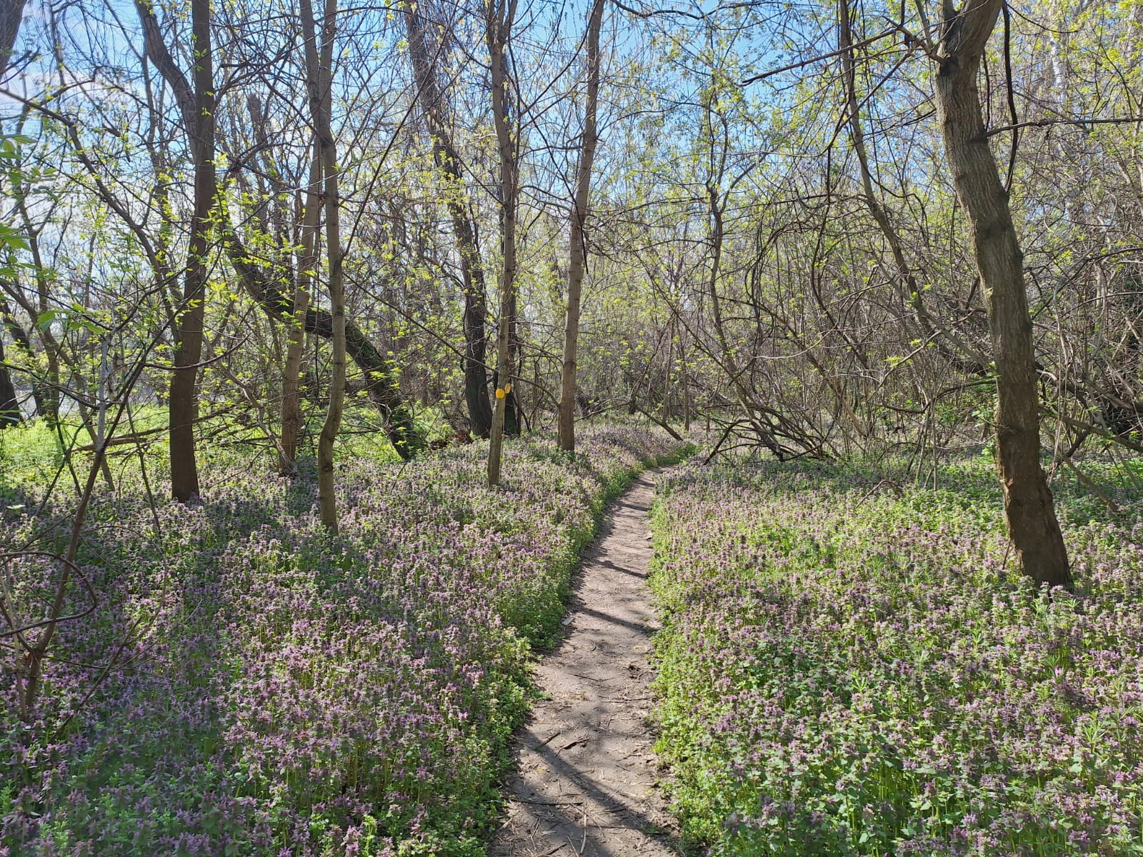 c668ddc6-8a22-4193-a66c-9d8fef425883