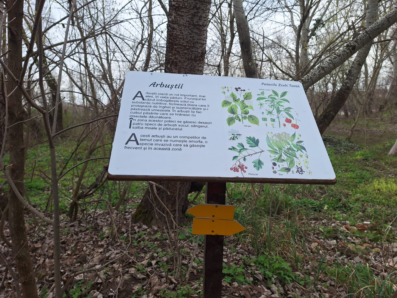 c4890eb8-d2fa-4bb4-8b8c-f76c60e82bdc