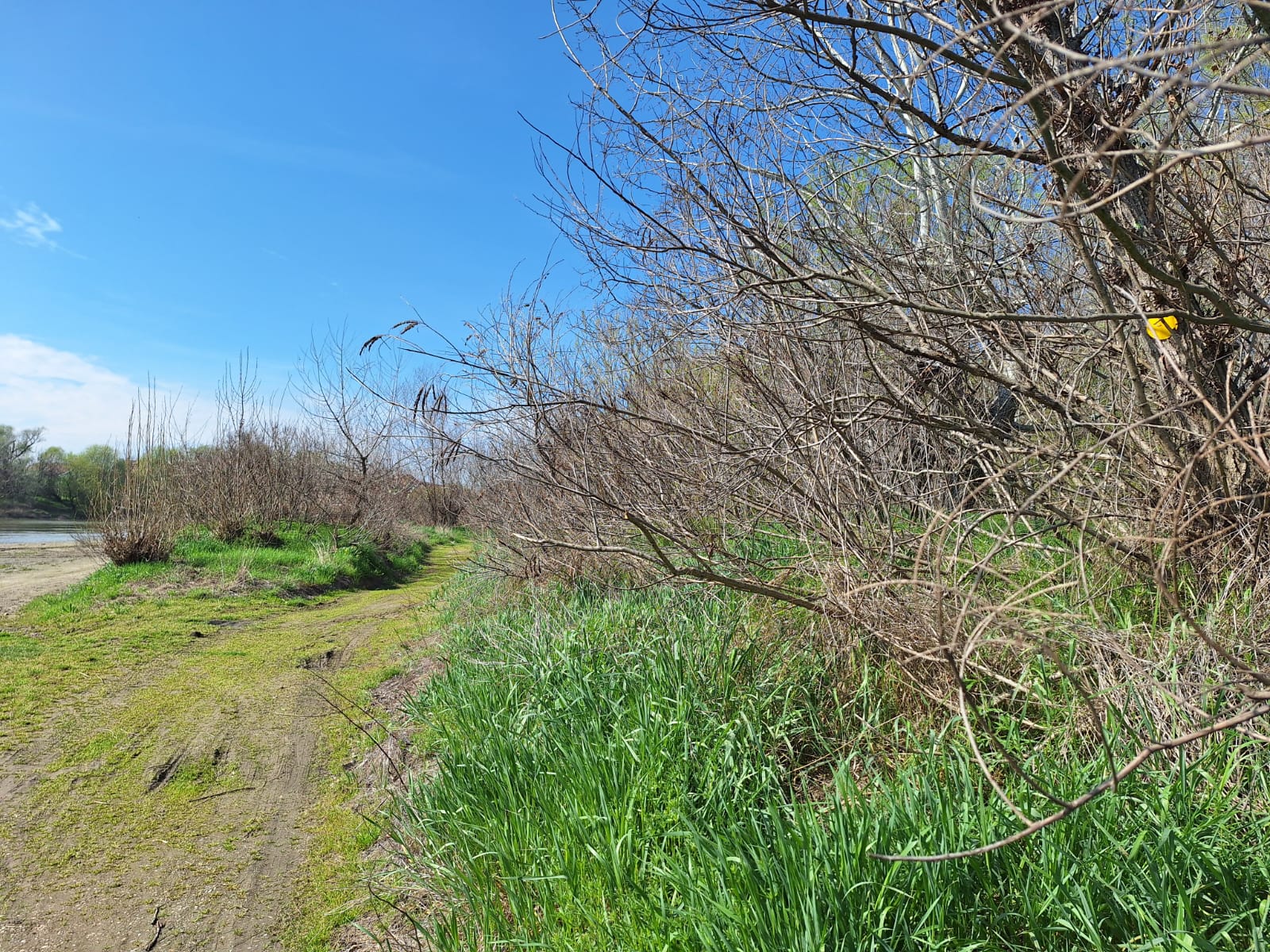 c7031ee5-58d6-4270-96d1-0d24d35f0fbe