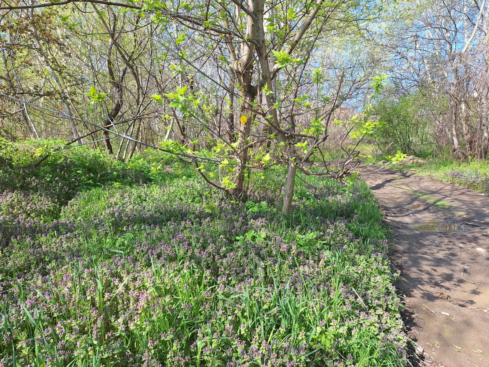 ca3bb3f4-4938-4377-a732-58b246e2a09a