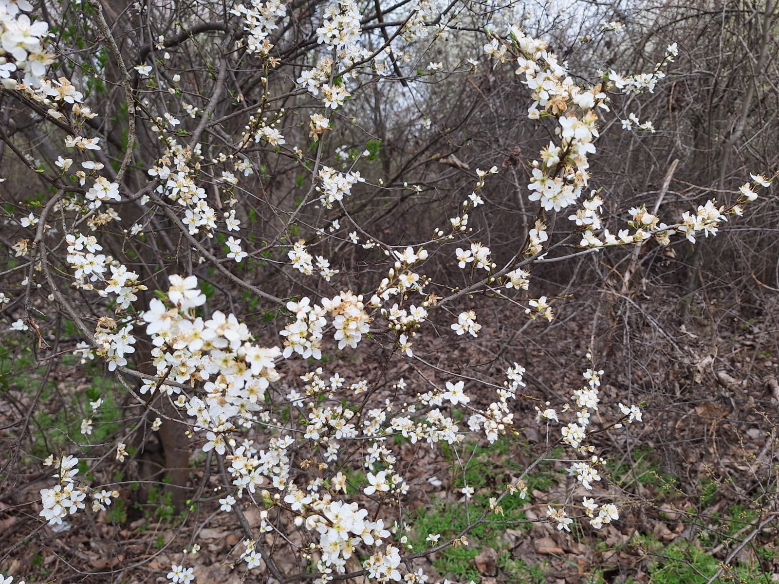 d2c6b994-30df-40d9-a425-0a641dd3c09c