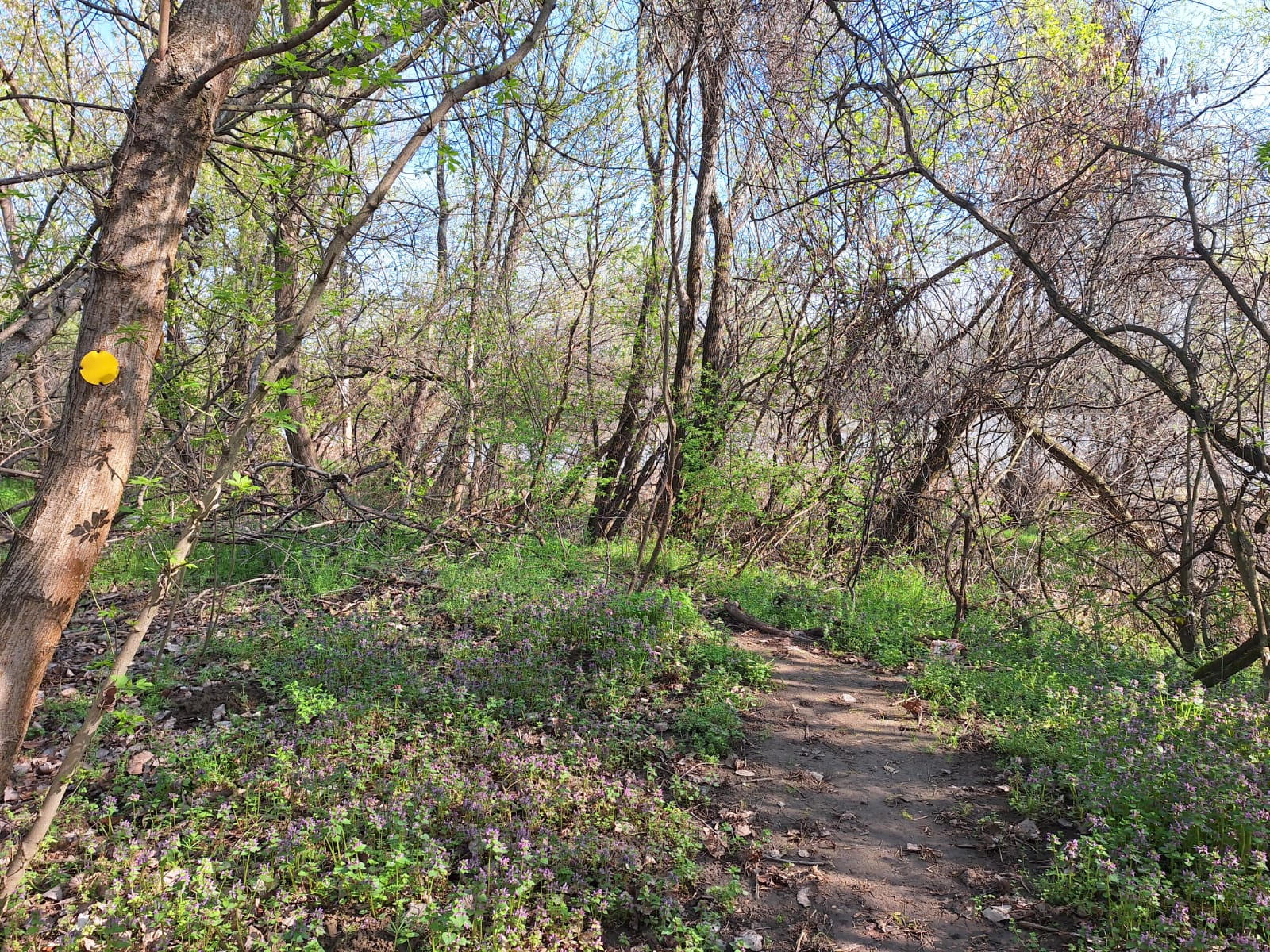 d5c53252-9a17-4de8-b4fb-d8455476cb69