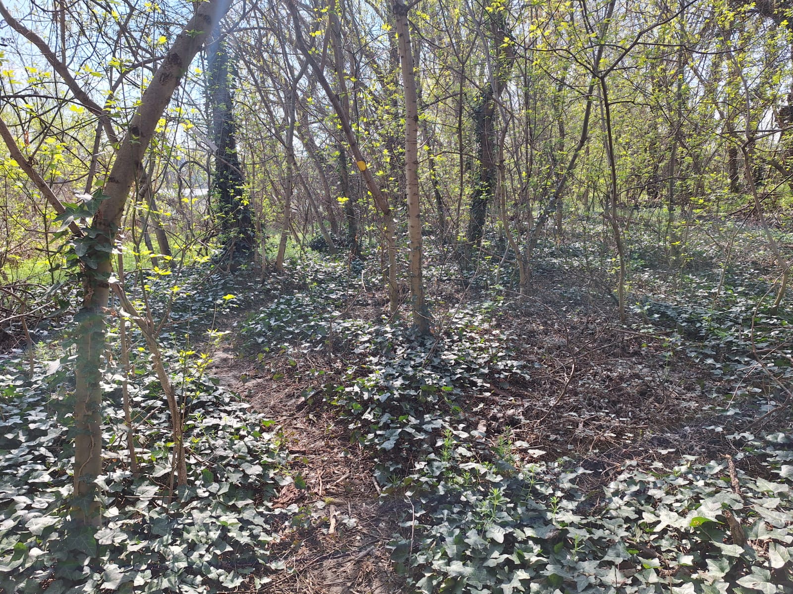 d72f7eb2-9f79-488a-aaac-1fe442bf60a9