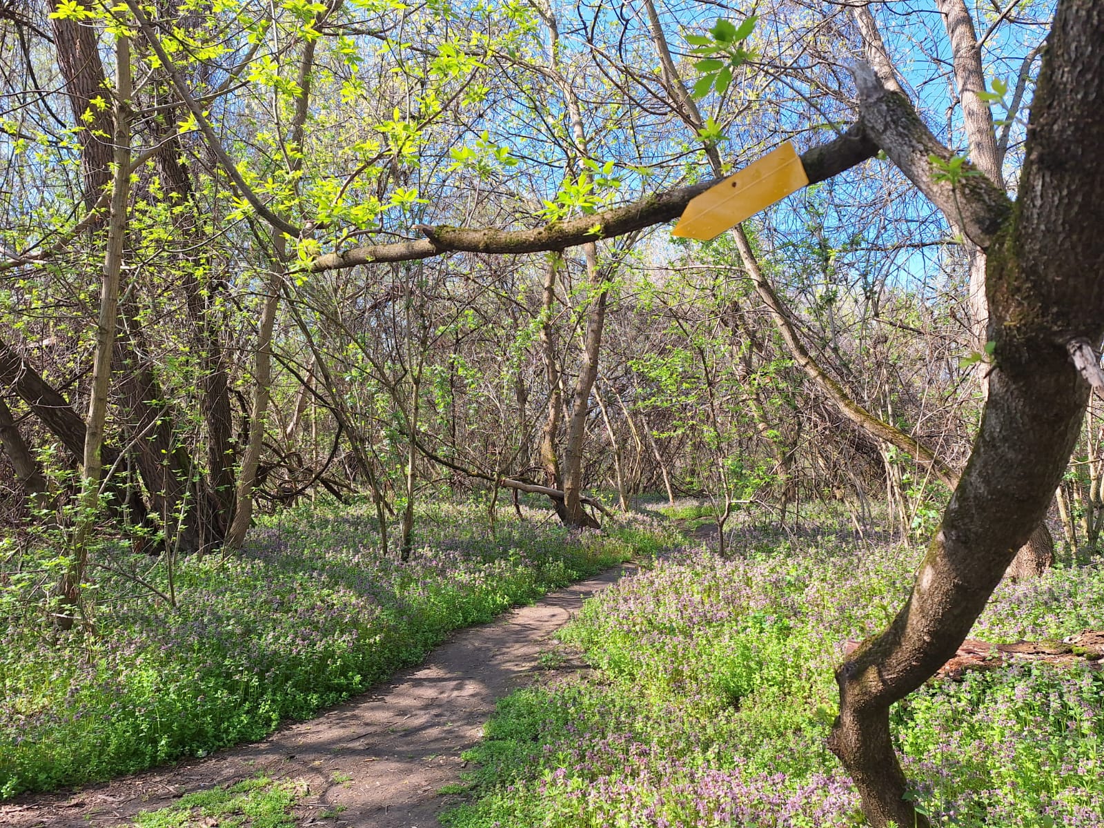 dceaccf2-8aa7-4581-a600-382b386465d8