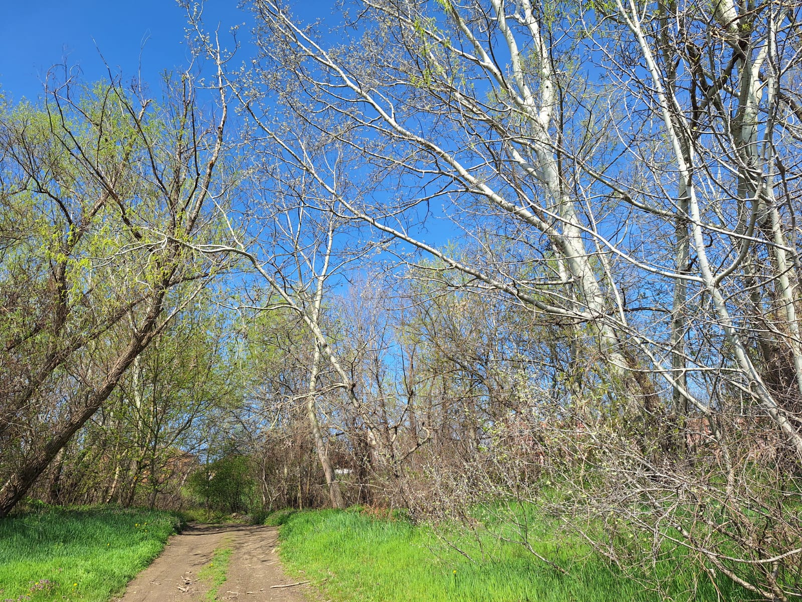 e1e9e02a-c8c4-4d2d-b39a-7cfb4bc5fca7