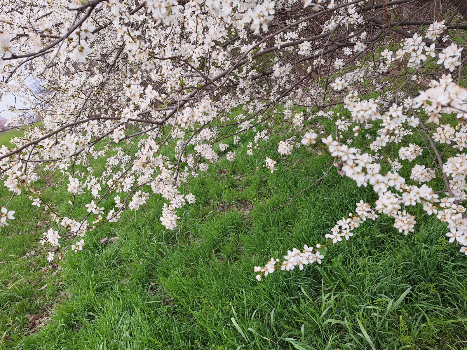 e2f2a302-bf6e-4a09-b937-72b54c4e3bf2