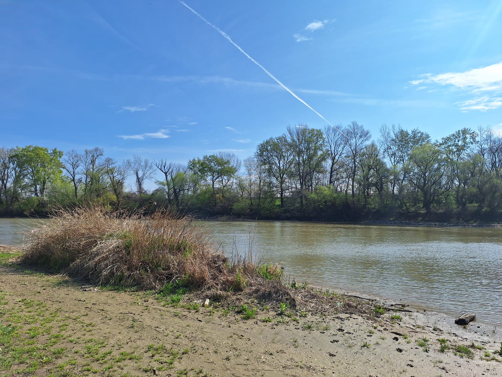 e3e71644-927f-4d3e-85d0-b3cf161de00e