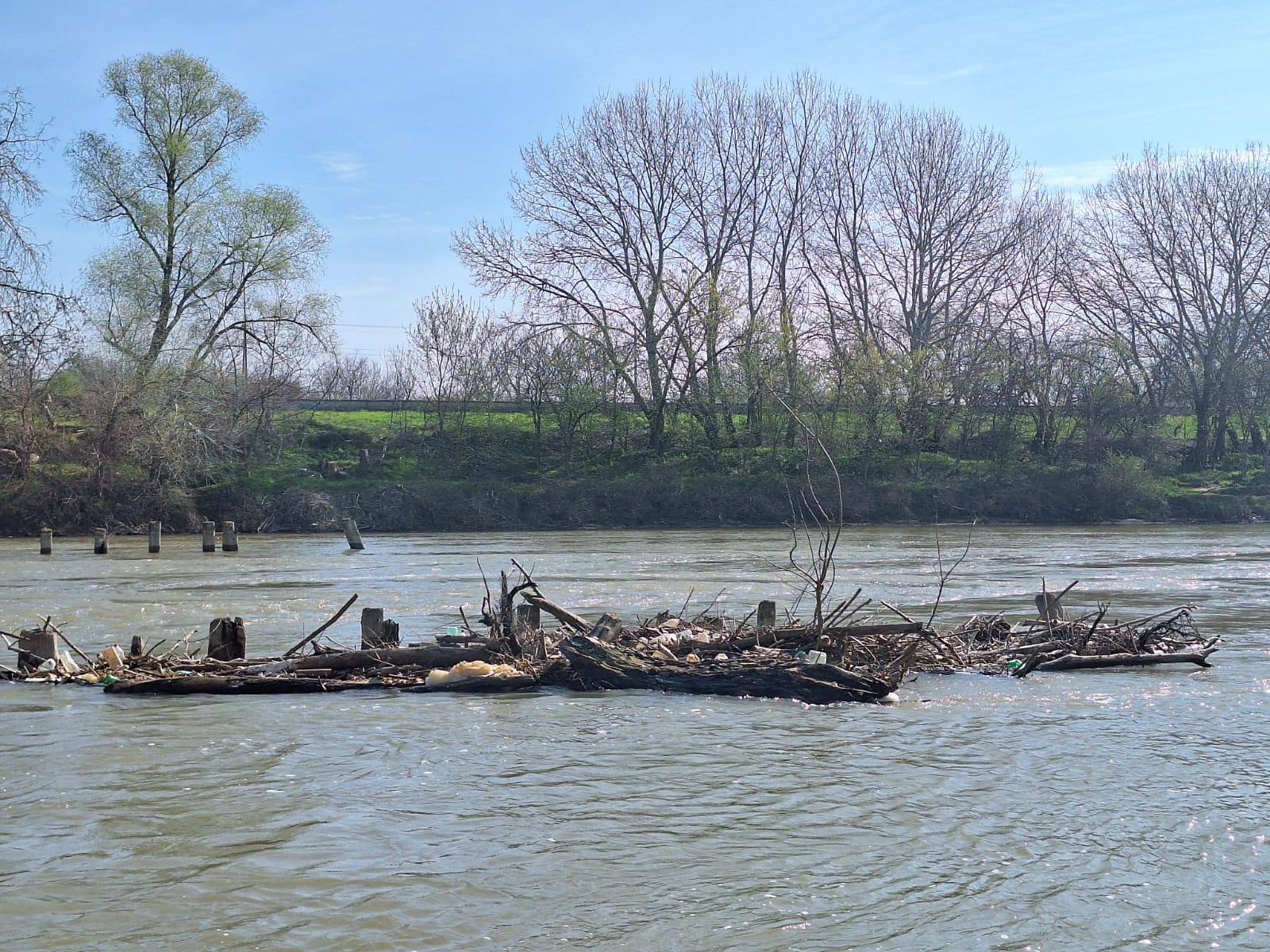 e7ae8c76-cf7b-46f3-902a-0d50063b0fa3