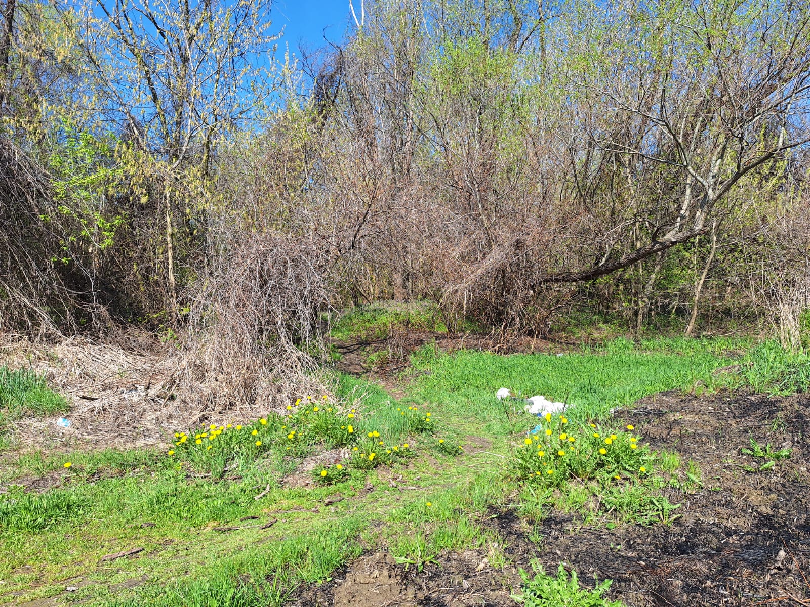 e847a646-22e2-4101-8fea-7476558c24c5